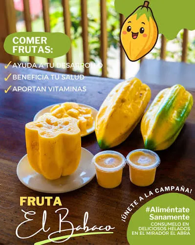 HELADOS ARTESANALES BABACO 100G
