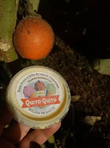HELADOS ARTESANALES DE QUITO QUITO 100G