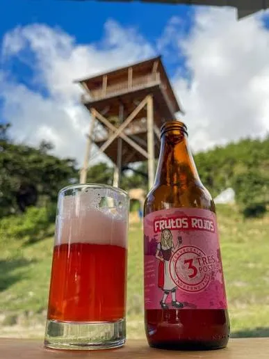 CERVEZA ARTESANAL TRES POSTALES FRAMBUESA 330ML